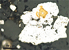  Very old rocks reveal hot spot of sulfur-breathing bacteria