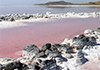 Huge amounts of mercury vanished from Utah's Great Salt Lake