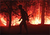 Rise in wildfires may resurrect Chernobyl's radiation